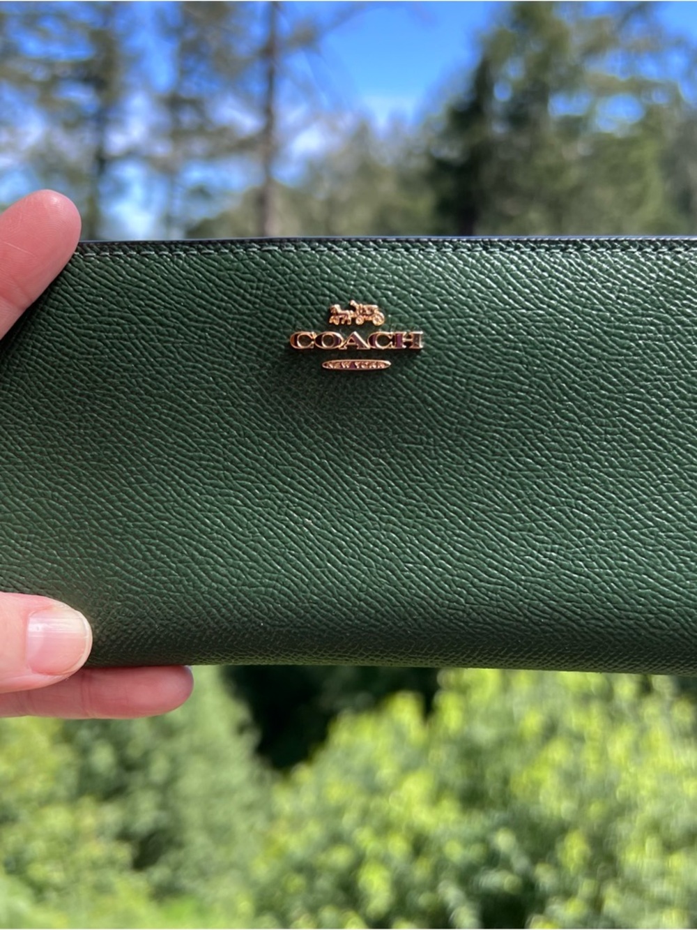 COACH Slim Bifold Wallet GREEN
Crossgrain Leather with Gold Hardware AUTHENTIC - Picture 5 of 7